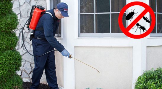 Samandağ Tahtakurusu İlaçlama böcek ilaçlama ve haşere kontrolü — ilaclama-tr.com